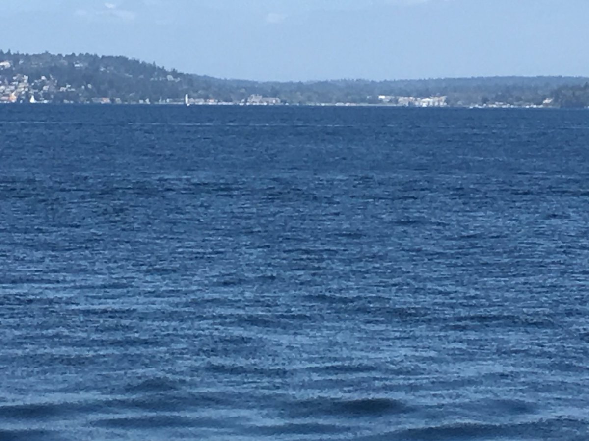 robgoldberg's tweet photo. 1st look 1st #ride #520bridge #seattle #stabthebeast #cycling #metierseattle #pnwcycling #summerisgood https://t.co/npUTmysYNN