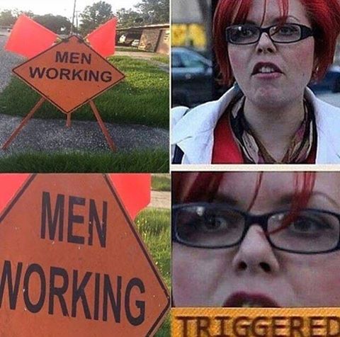Triggered Memes (@triggeredmemess) on Twitter photo 