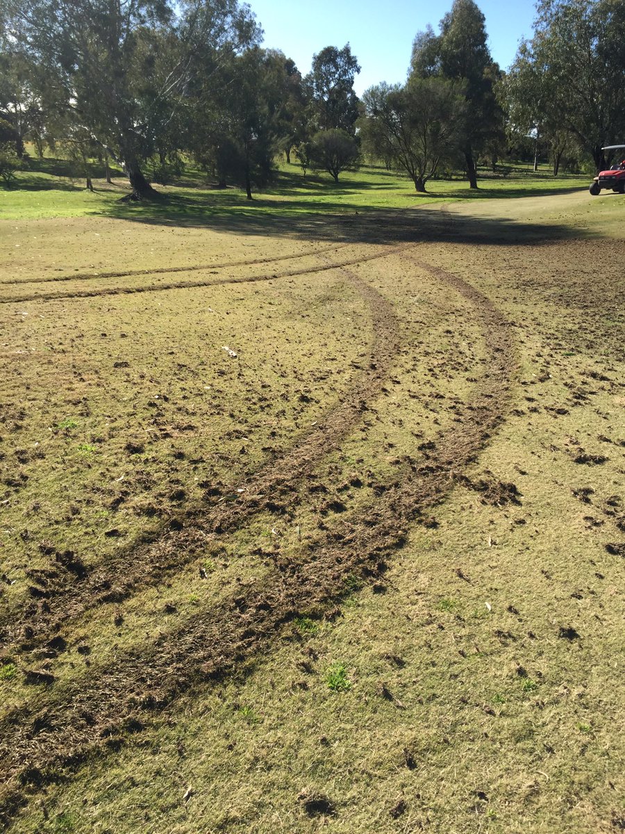 ren_86's tweet photo. The grass gods have thrown everything at myself &amp; @1BenLucas but it won't get us down, can't understand some people https://t.co/QfGXR4nxqM