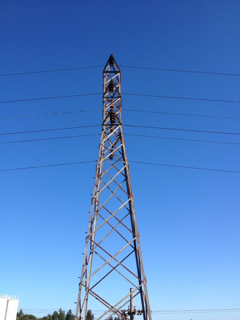 Julie R Wright tweet media