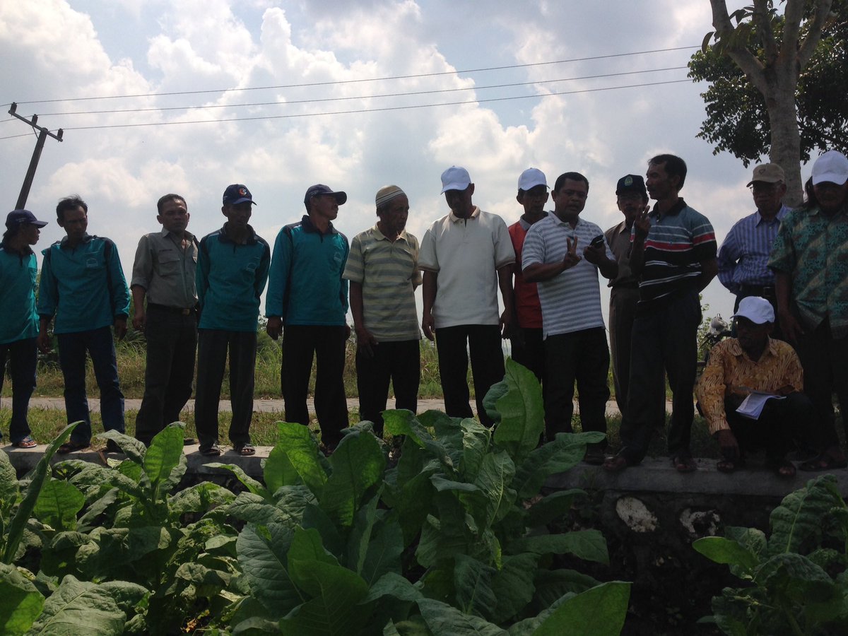 DesaKatur's tweet photo. Kunjungan dr para petani kab sleman DIY ke desa katur untuk saling bertukar pikiran bertanam tembakau @pemkab_bjn https://t.co/V8vtftsaso