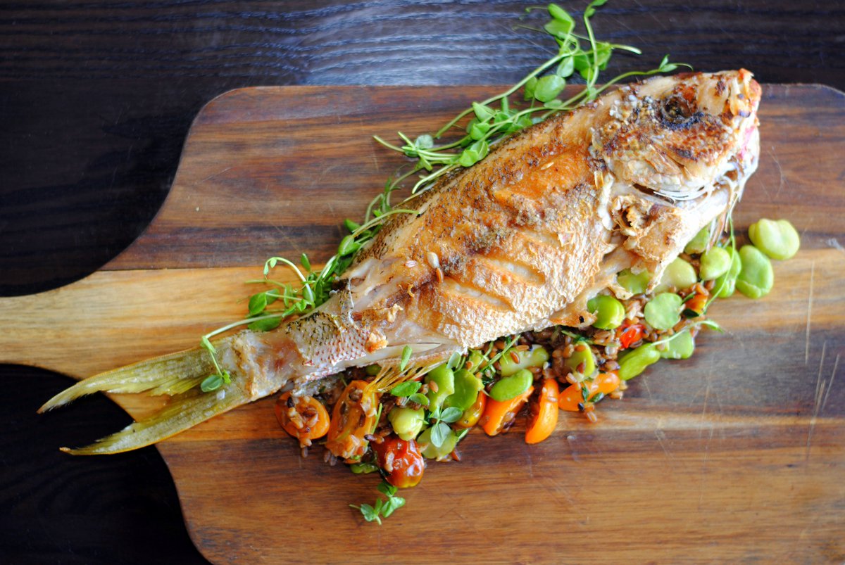 KitchenonSanMar's tweet photo. We love #floridaseafood! Stop by for the #FreshCatch tonight in #Jacksonville #jaxcot https://t.co/Kxywv9S7OP