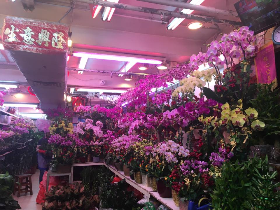 Flowers everywhere! They don't call it Flower Market Road for nothing!