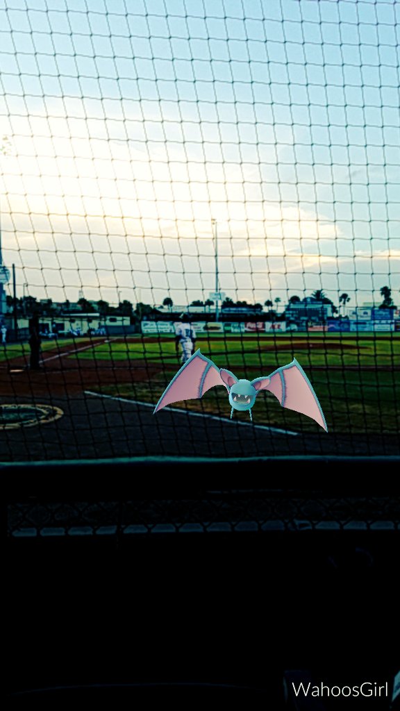 mkokoszka89's tweet photo. @daytonatortugas #PokemonGOnight visiter from @LouisvilleBats mascot prospect Zubat. https://t.co/IMSPm3xK9A