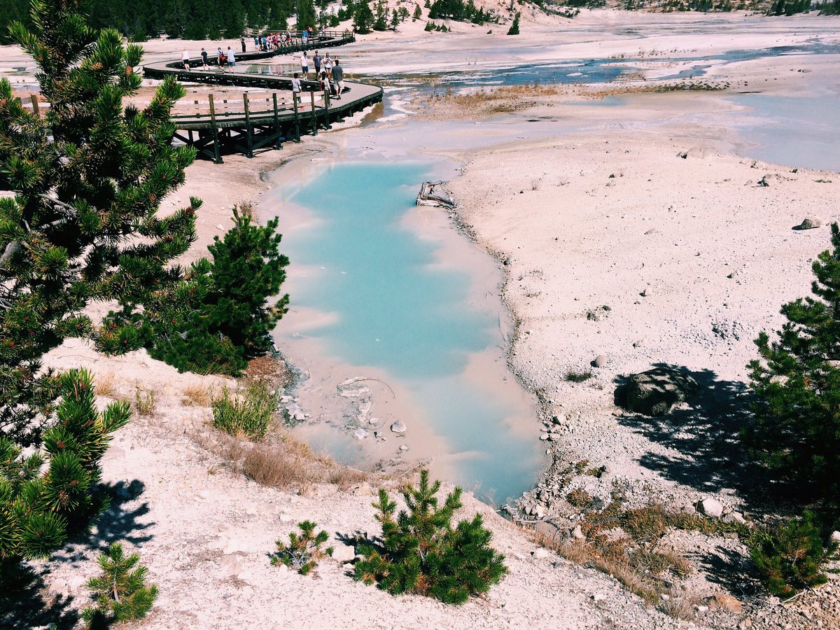 elissafelt's tweet photo. Yellowstone 🌙🌲💥 https://t.co/nLPjdZAqtD