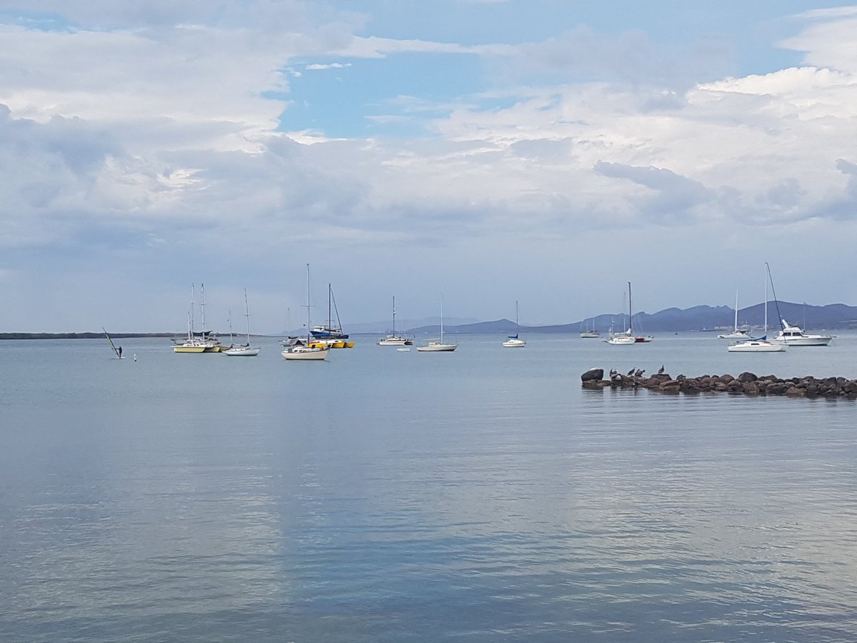 Baja Sailing tweet media