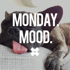maddisLR's tweet photo. #MondayMood #OMG it's #monday already! https://t.co/llxvBbUjH0