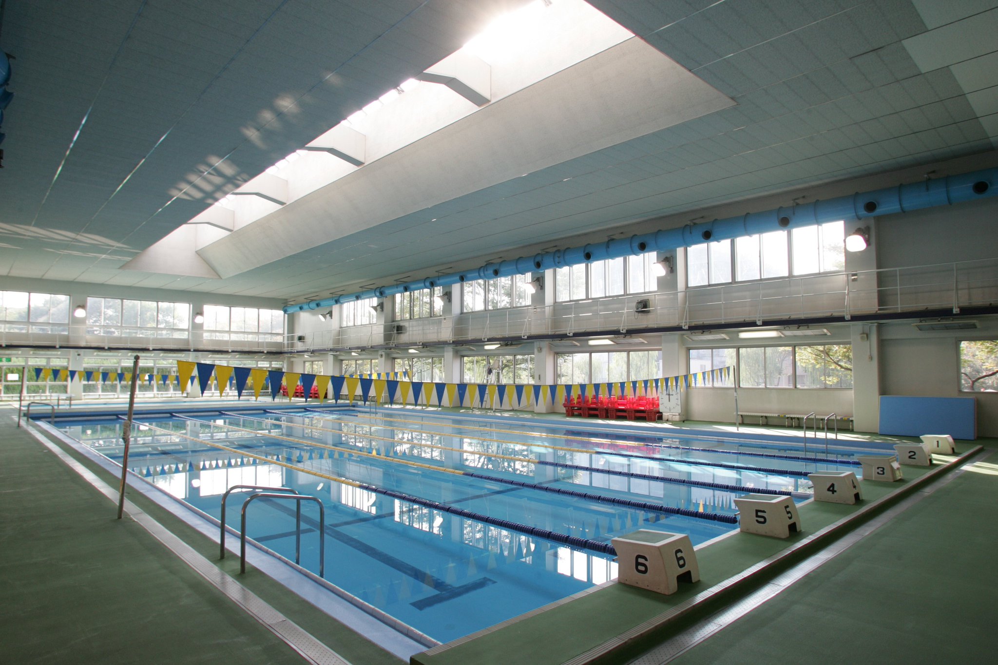 江東区スポーツ会館 大人400円で入れる室内プール 江東区スポーツ会館 大人400円で入れる室内プール