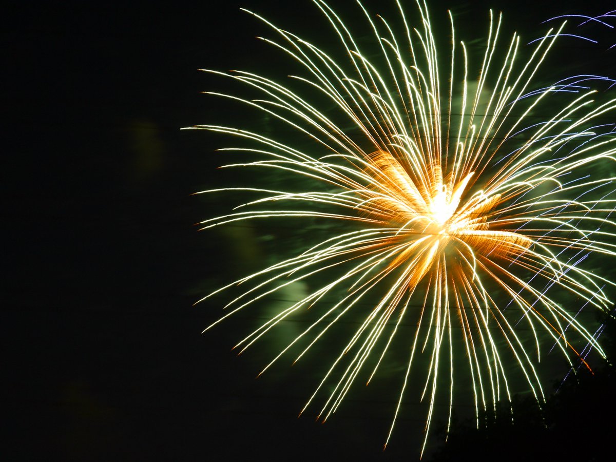 浦和たまこちゃん公式 浦和裏日記 さいたま市の地域ブログの中の人 大和田公園花火大会で きゃーキレーイ うまく撮れたー やばいぶれたー とかワーキャーいいながら撮影してたのはわたしです 写真好きな人と繋がりたい