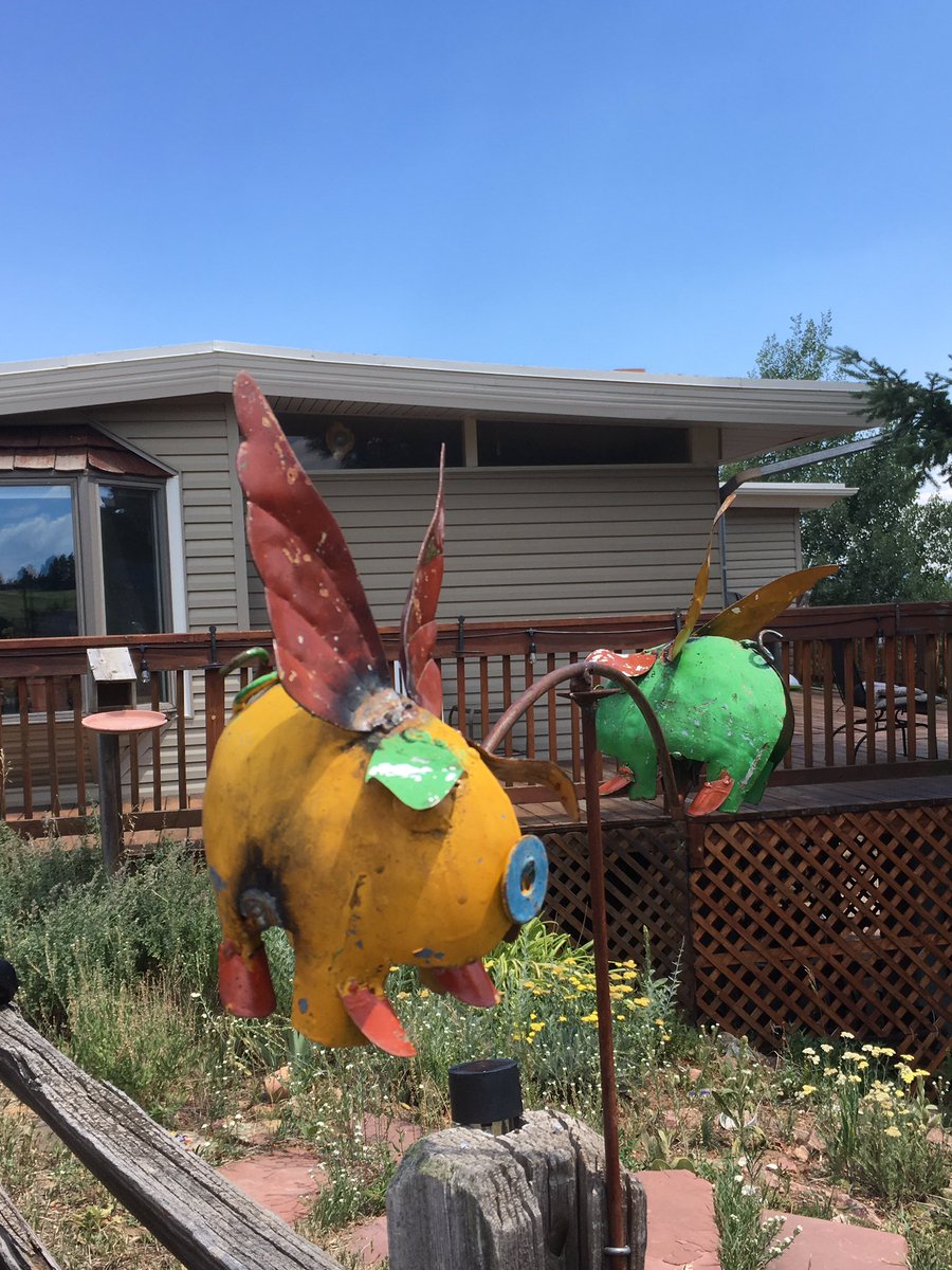 lfrappao's tweet photo. @ds106dc #tdc1665 #ILT5340 #ds106 pigs fly in my neighbors yard https://t.co/7cYvj90UpQ