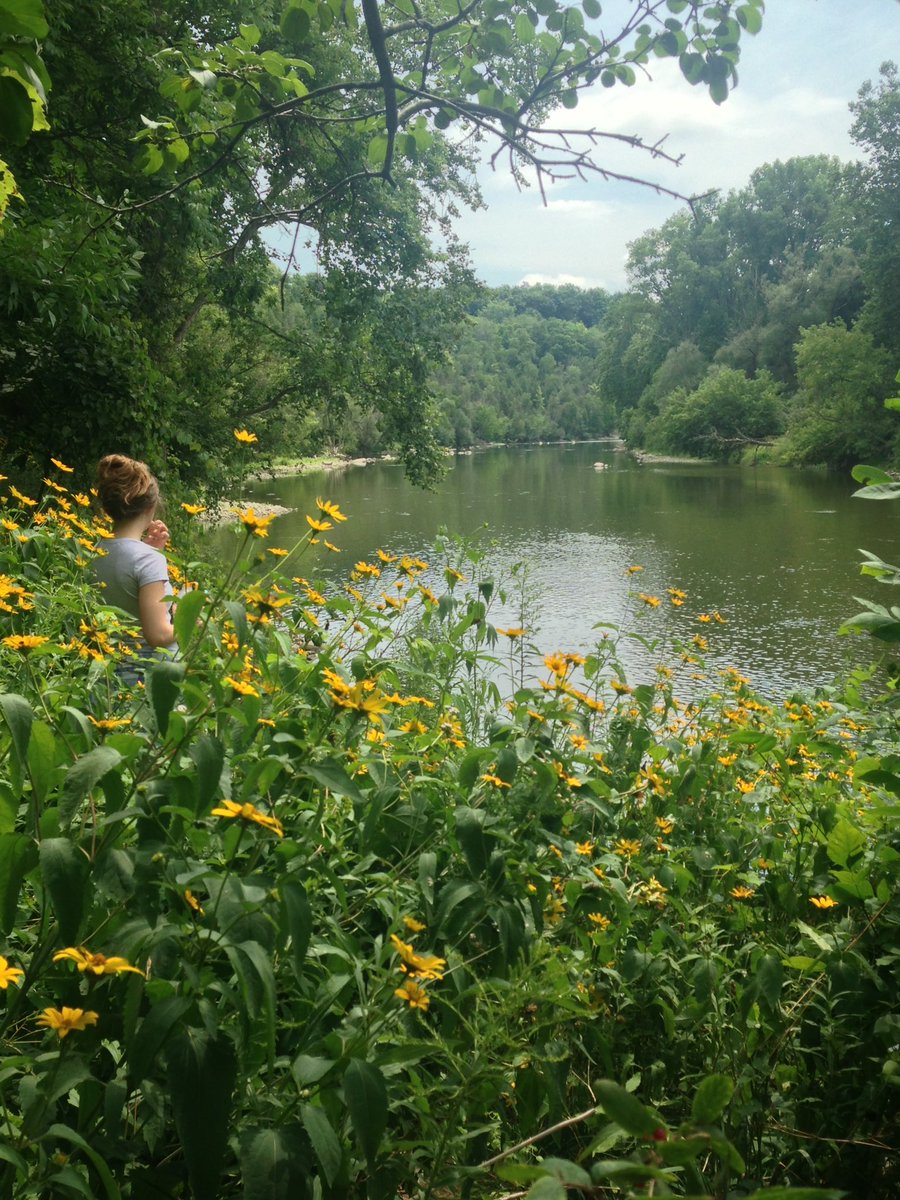 stephersaurus0's tweet photo. “@tiptoeinvisible: In fields of flowers with @stephersaurus0 #letsgetlost #literally https://t.co/pFbjz1kWS9” yesterday was perfect 💛