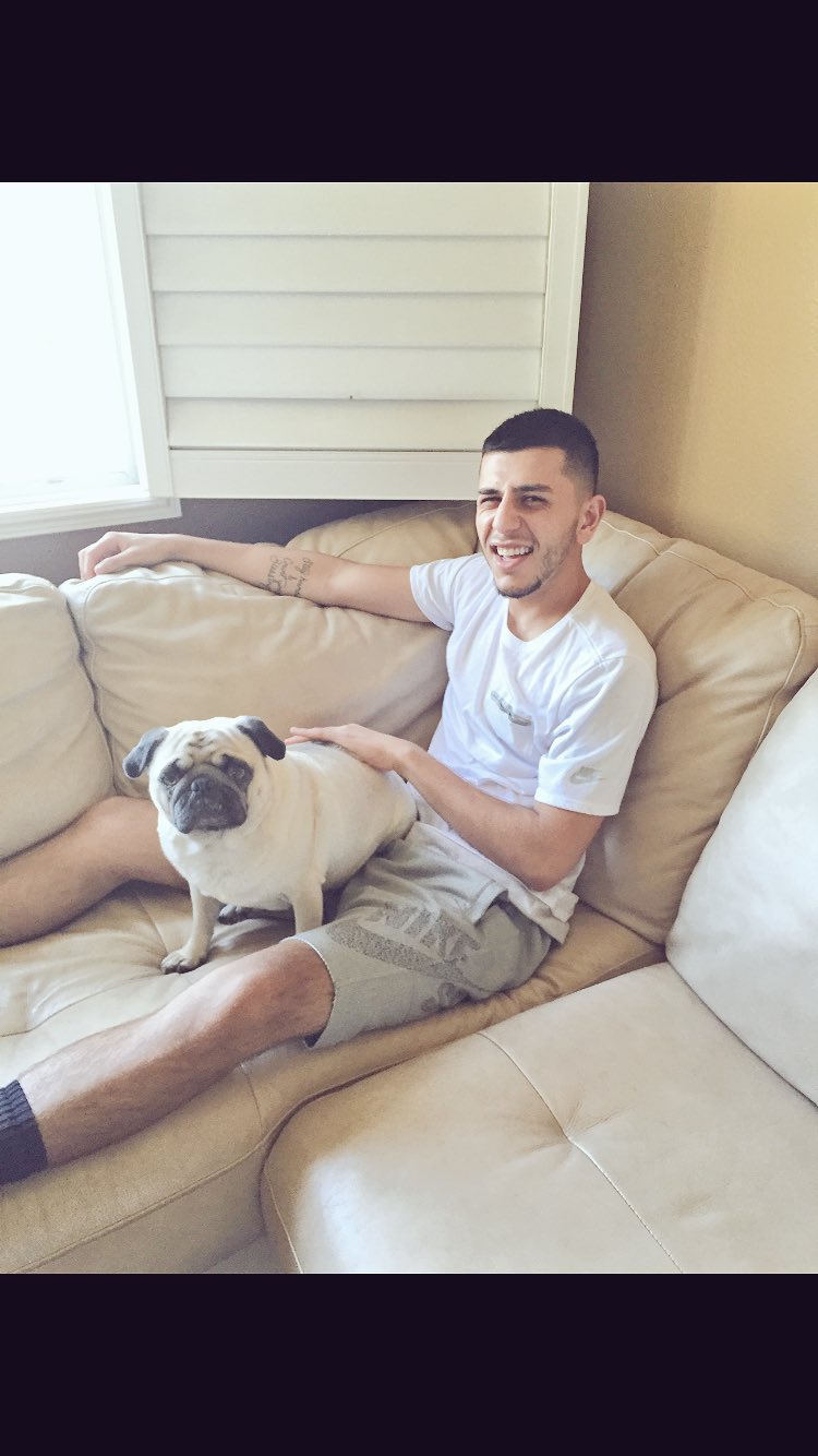 Brandon Awadis on X: My puppy is excited for his 1st ever season