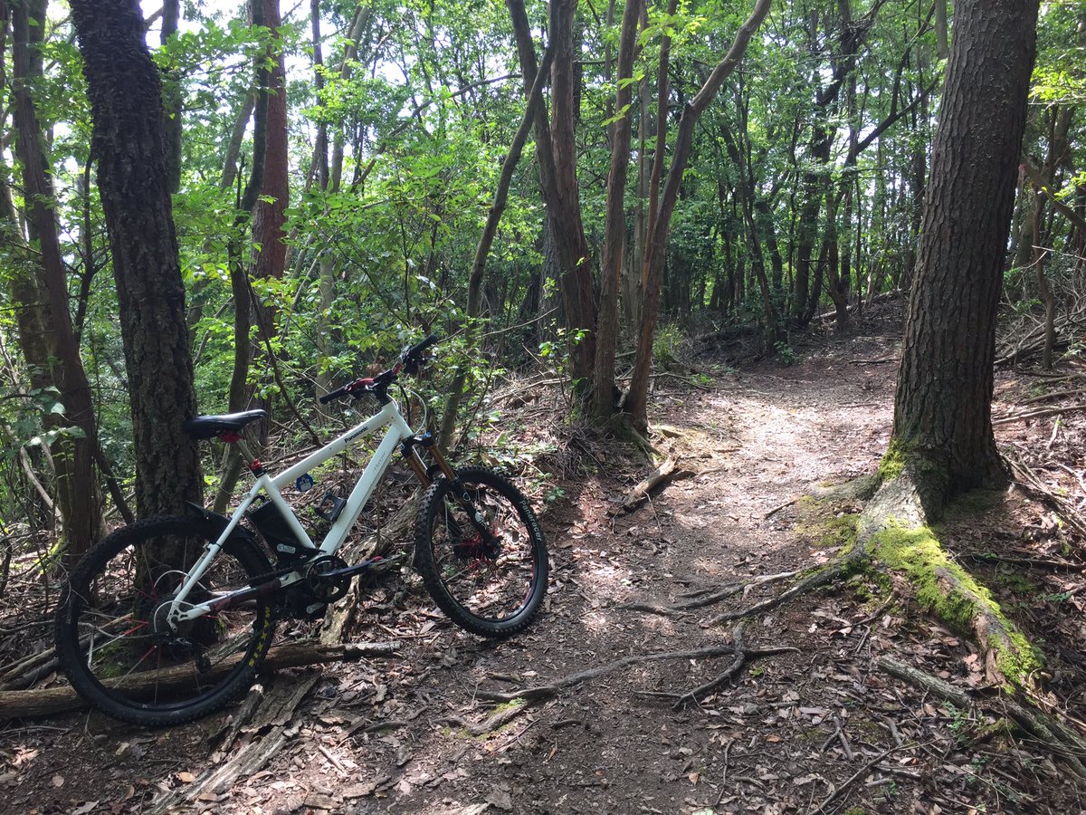 国産】電動アシスト自転車 Part33【正規物】 [無断転載禁止]©2ch.net