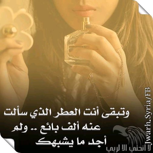 IqAnm's tweet photo. @laylaa_dubai https://t.co/lU6TnLQLka