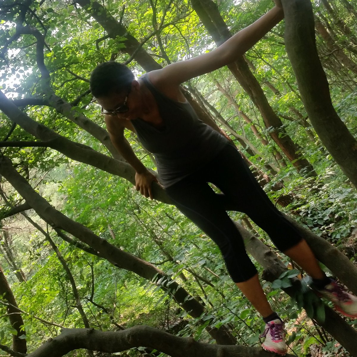 WealthyMoneyCo's tweet image. Climbing trees in the forest. I'm #playing sooo much in #Korea. This is #secondchakra healing at its best. #Travel