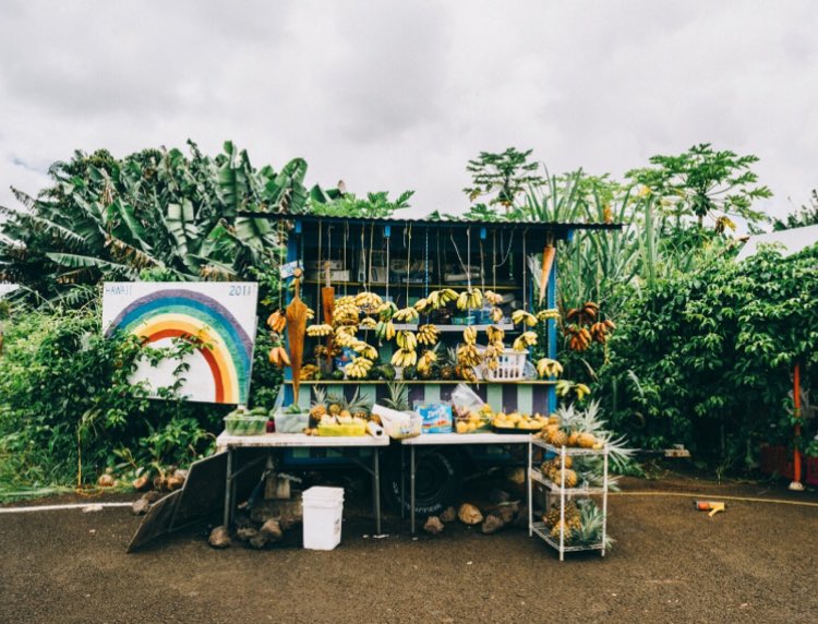 SnapLandscape's tweet photo. Hilo, Hawaii. https://t.co/Bvn2TqaHzz