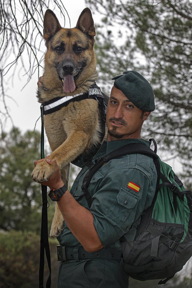 Guardia Civil tweet media