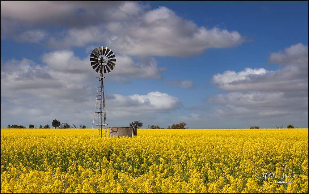 Casper Smit tweet media