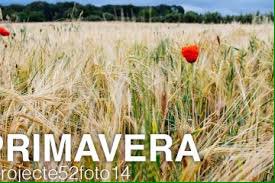 JordiAguileraC's tweet photo. Avui a l'@espaiinternet parlem de fotografia amb el #projecte52 de @lluiscamell i molt més! Després del #TNV. https://t.co/PTO484k4df