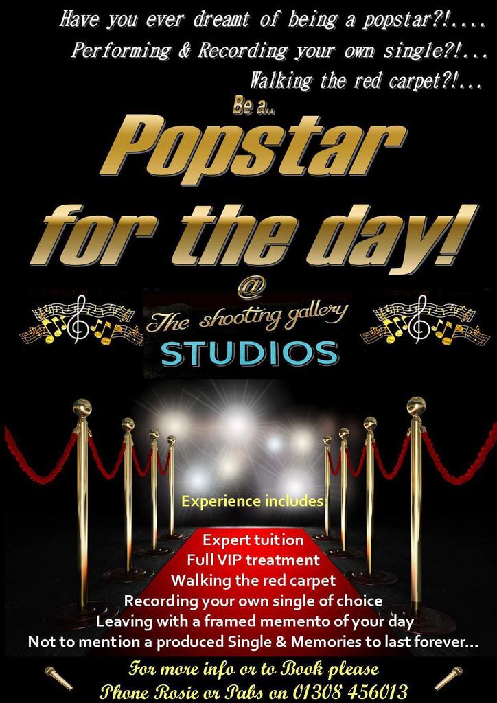 GalleryShooting's tweet photo. Be a #Popstar for the day with our fantastic #experience walk the red carpet!  #singing #Dorset #superstar #music https://t.co/gM5xO3adz5