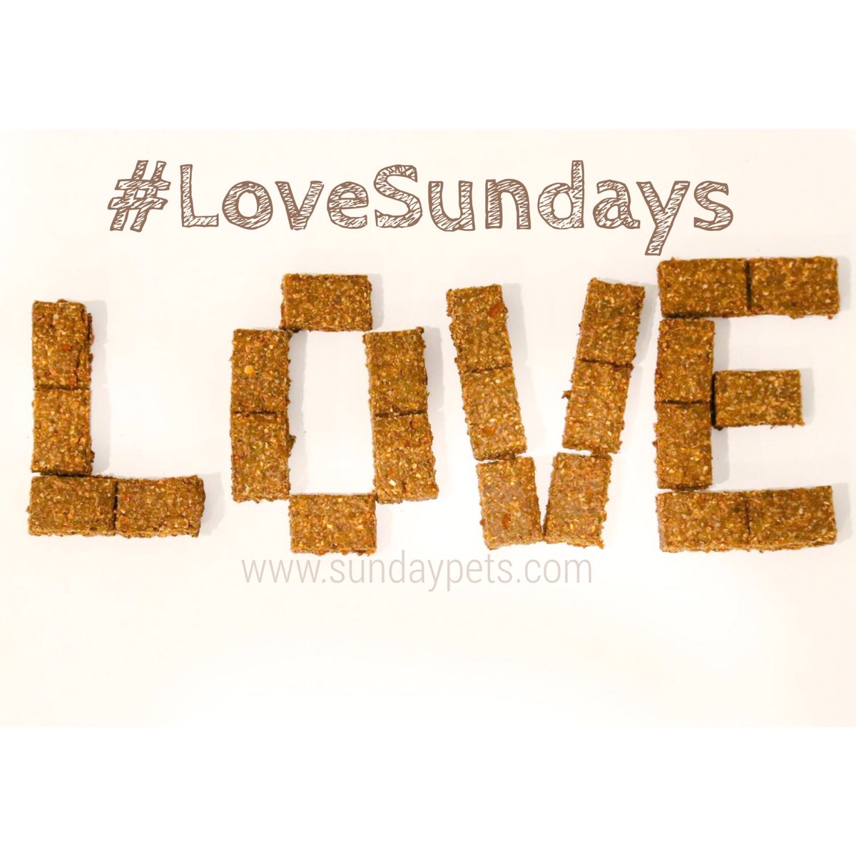 SundayPets's tweet photo. #LoveSundays https://t.co/nnCaDqk9rK