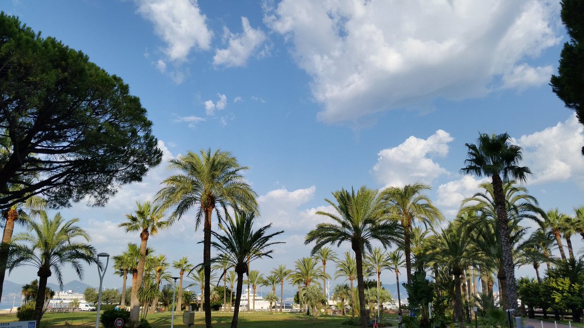 lucb067's tweet photo. #CotedAzurNow #Cannes #SquareVerdun !!! https://t.co/Fe6io1PcBj