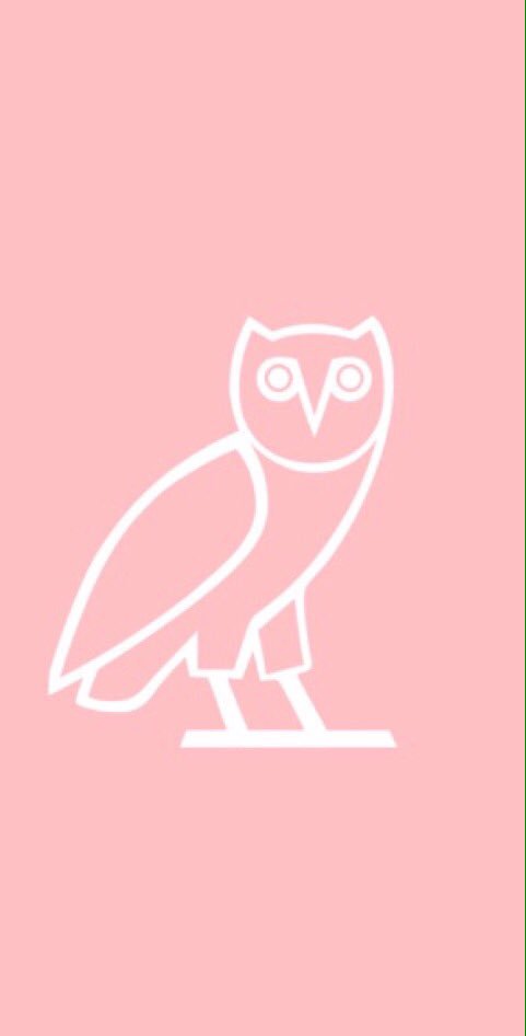 cbirdmc tweet picture