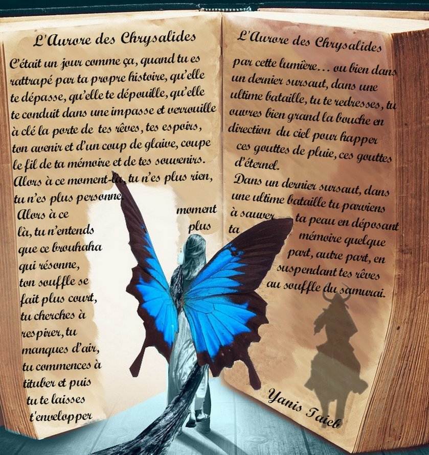 LCFactory1's tweet image. Et si ces mots avaient traversé les siècle...
L'Aurore des Chrysalides Ƹ̴Ӂ̴Ʒ
buff.ly/2acbN7U
#ebook #plume