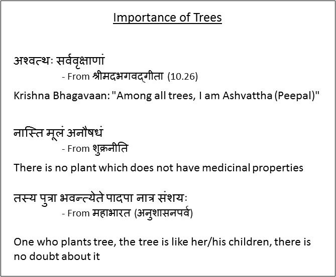 Trees Name In Sanskrit And Hindi Vedic School on Twitter: "Gems of Sanskrit on importance of trees, from