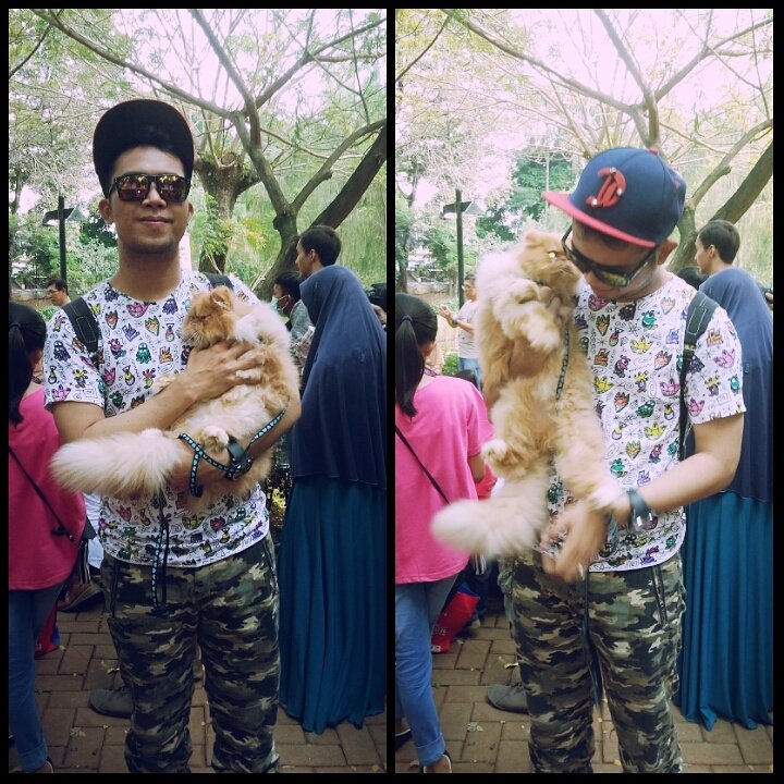 Dicky_Rivanzo's tweet photo. Ghatering Komunitas Pecinta Kucing Jakarta at Taman Langsat Barito🐱🐈 https://t.co/hOhsakiKGg