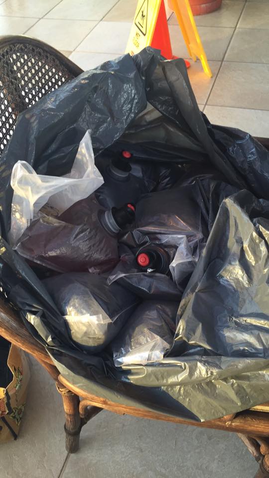 RowAloha's tweet image. Clean up time. Lots of treasures. #PackOutWhatYouPackIn #greatpacificrace