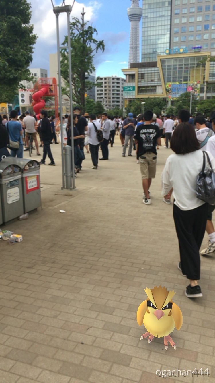 ポケモンの巣 錦糸公園 Twitter Search Twitter