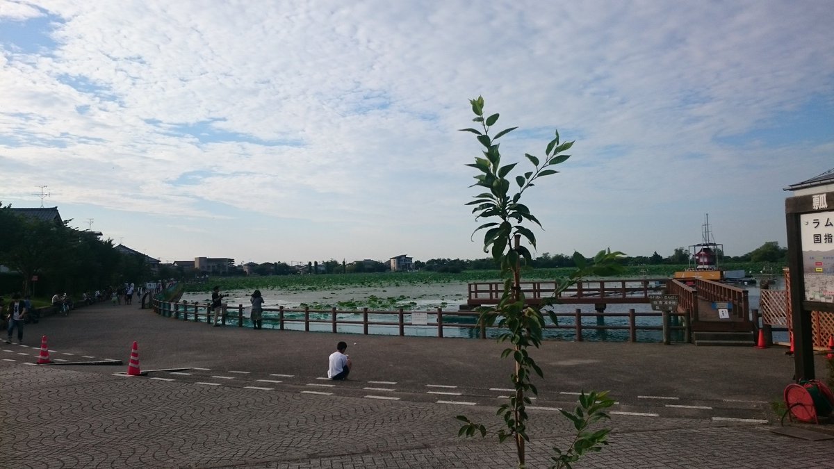 新潟ポケモンgo出現情報 瓢湖の感想 コイキング コダックが大量 ヤドンが結構多い 他トサキント クラブ ゴース ミニリュウ ポッポ コラッタ イーブイ ナゾノクサ マダツボミを捕獲 途中でシードラ見つけましたが位置情報がバグって捕獲ならず 新潟ポケモンgo出現情報 瓢湖の感想 コイキング コダックが大量 ヤドンが結構多い 他トサキント クラブ ゴース ミニリュウ ポッポ コラッタ イーブイ ナゾノクサ マダツボミを捕獲 途中でシードラ見つけましたが位置情報がバグって捕獲ならず