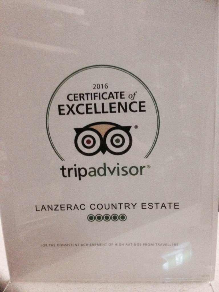 Our newest addition to the trophy cabinet now hanging out on the bar with his mates. #hardworkpayingoff