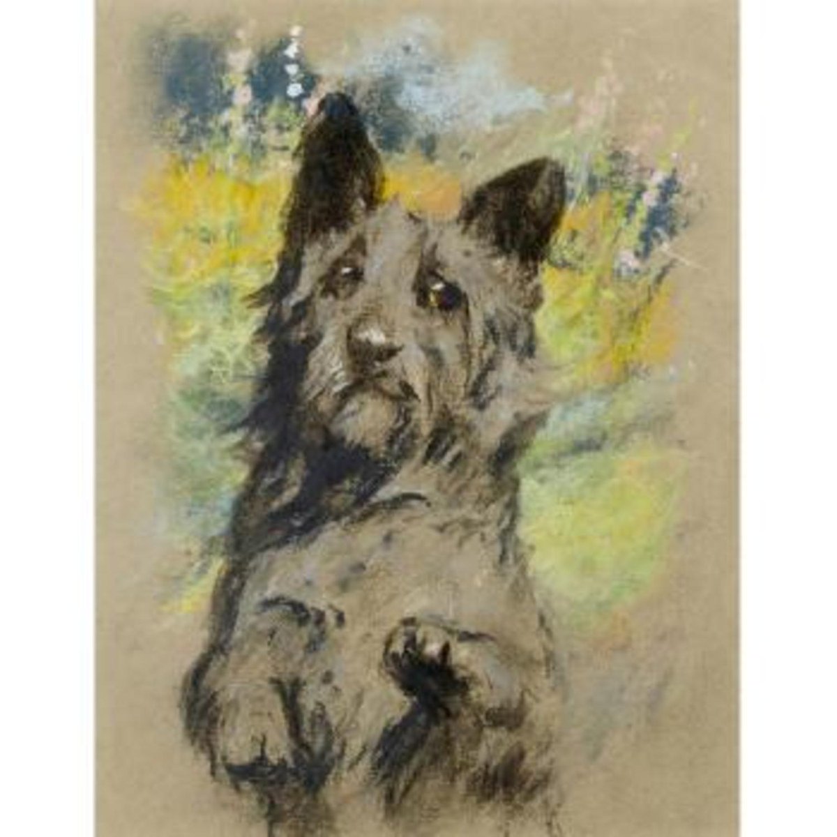 wardlearthur's tweet image. Scottish Terrier, 9×7in, Sold for $500 USD #arthurwardle auctionclub.com/public/histori…