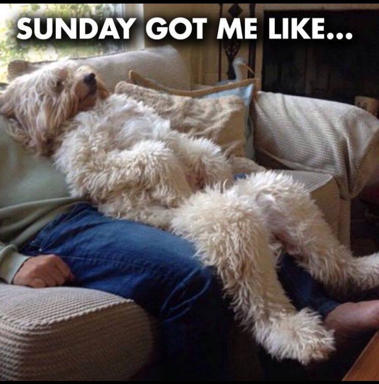 TGWCompaction's tweet photo. Crazy Lazy Sunday https://t.co/CKRUGGTZc8