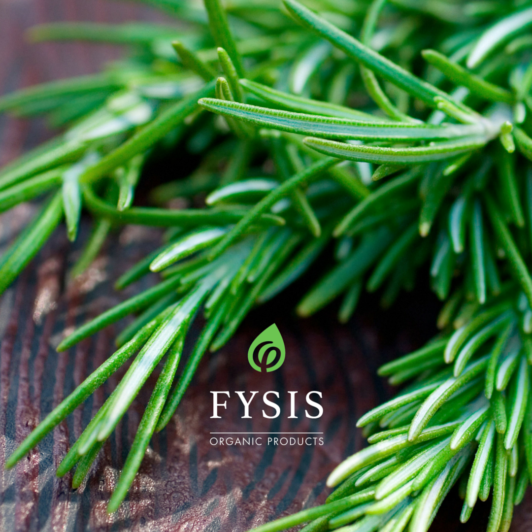 fysisherbs's tweet photo. #Organic #rosemary from #Greece! Enhance your #recipes with #FysisHerbs #Herbs #OrganicHerbs https://t.co/LeYta3EhWE