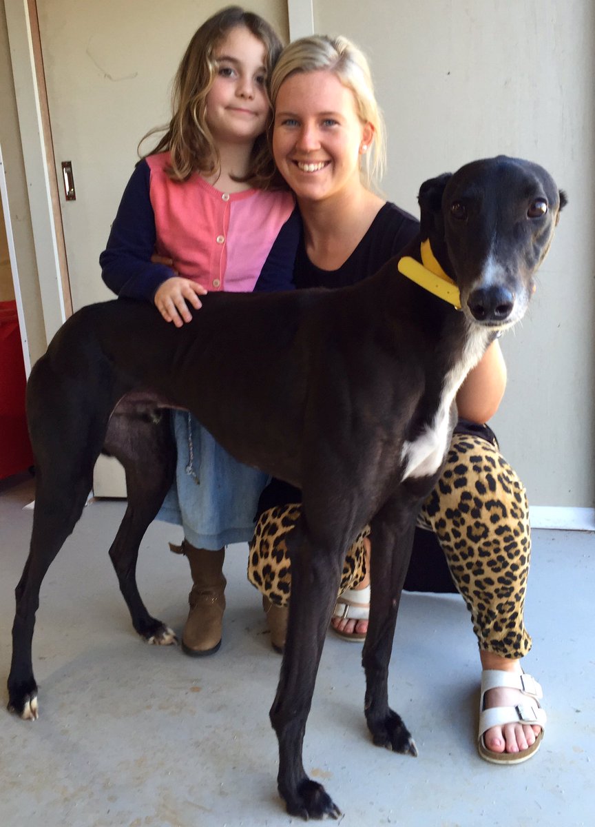 LaniganKennels's tweet photo. Today we had our niece come visit us at the kennels! Mileya absolutely loved all the dogs &amp; they loved her more!🐾❤️ https://t.co/bMyCzL0rt6