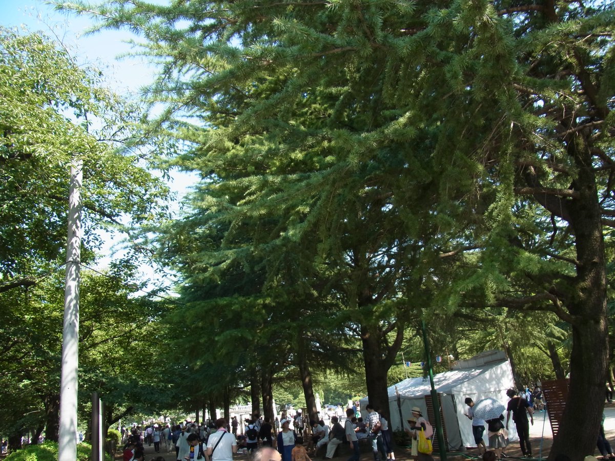 Masashi Tsuruma Park 鶴舞公園 Is A Sacred Place 聖地 Of Pokemon There Were Many People There Today 鶴舞公園 ポケモンgo Masashi Tsuruma Park 鶴舞公園 Is A Sacred Place 聖地 Of Pokemon There Were Many People There Today 鶴舞公園 ポケモンgo