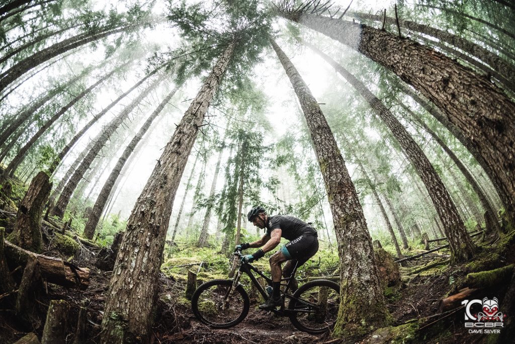 BCBikeRace's tweet photo. Soft light in the woods.#BCBR2016 Photo @DaveSilverPhoto #mtbBC https://t.co/b6ulXB0pwS