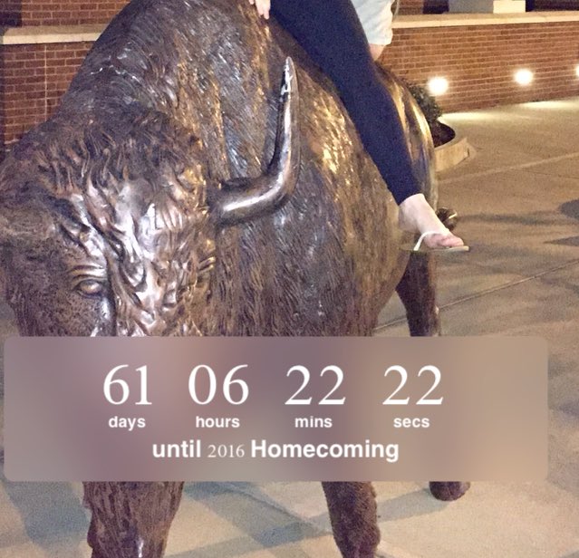 Nichols_2016's tweet photo. Hey @NicholsAlumni to start your week off on a good note, here's the countdown til we're riding that bison again! https://t.co/RtG6uFsc4Z