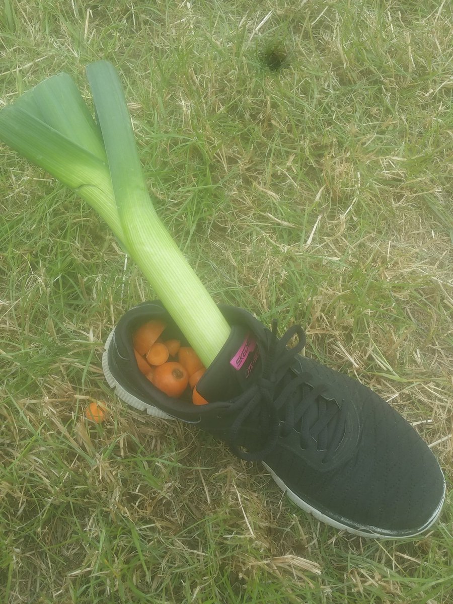 dantwig95's tweet photo. @Jassyspassy has shoes that leek carrots here at @EIJ2016 #leekpuns https://t.co/5uDxxGn2Jo