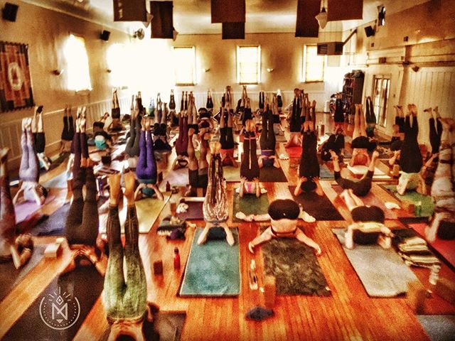 YogaTree's tweet photo. Just another sattvic Sunday. #markmorfordyoga #yogatreesf 📷: @markmorford https://t.co/QW8TDFbMst