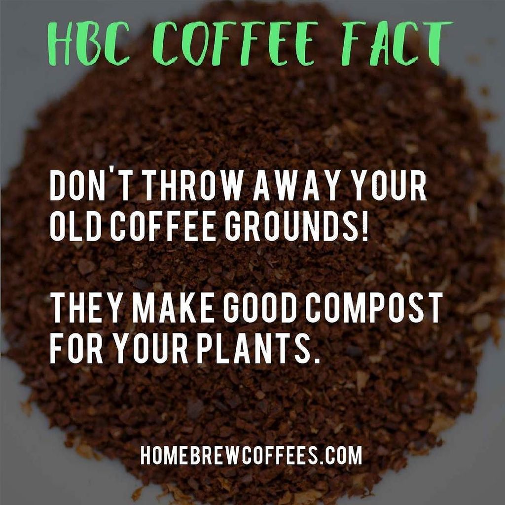 homebrewcoffees's tweet photo. Got plenty of coffee byproduct? Don't waste them! Return back to the soil.
#coffeecompost⦠https://t.co/fp8RSKLO5v https://t.co/3rwcKvg2Ky