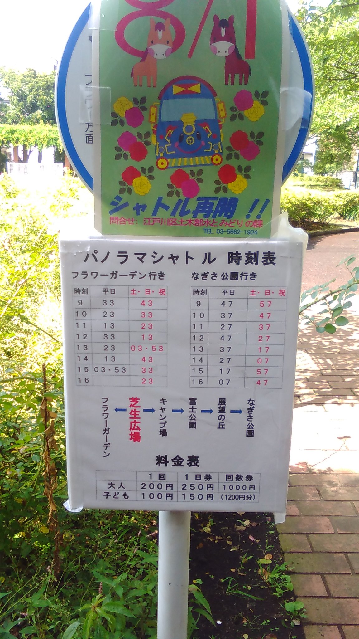 ポケモンgo江戸川区情報 Pokemongoedo Twitter