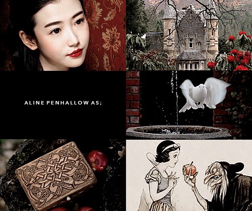 pads ┊ 秋雨 ☔️ tweet media