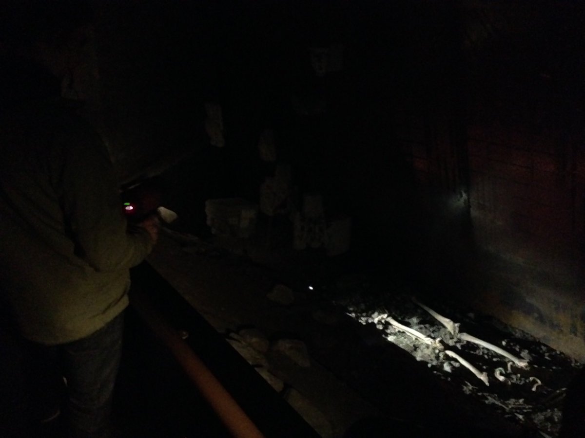 EHYD2016's tweet photo. The DomUnder archaeological expedition this morning. #ehyd https://t.co/N9lfeDwsKY