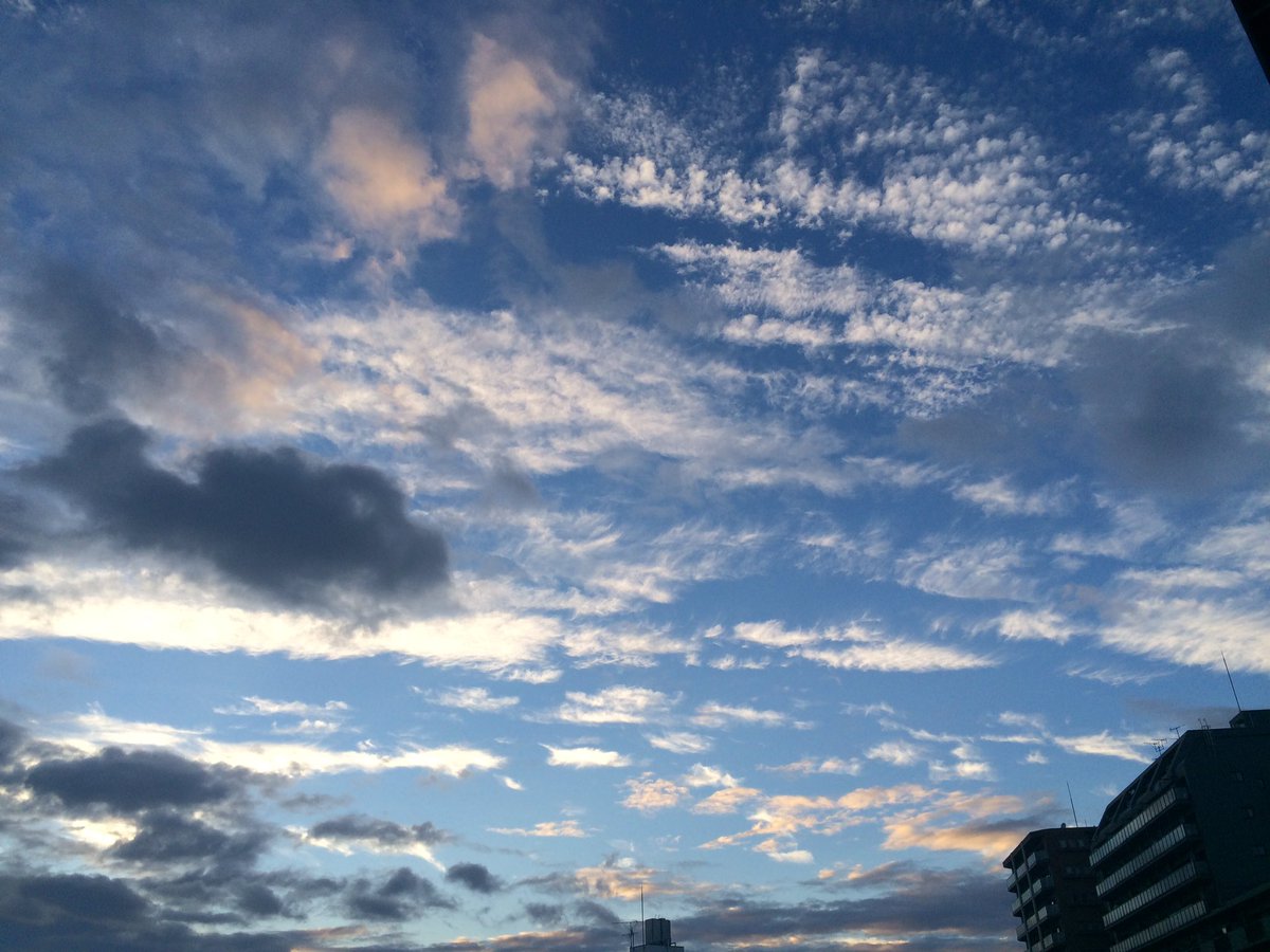 bonten___0107's tweet photo. 初の選挙に行ってきました
アスノヨゾラ哨戒班のmvみたいな空だと思った。あい。 https://t.co/a7WeqoTg2f