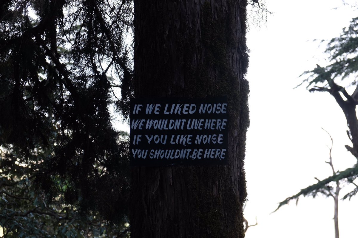 mkamdar_5's tweet image. When a picture is worth a 1000 words. #silenceisgolden #iftreescouldtalk #Landour #Travel 
perpetuallytripping.com/2016/07/29/mus…