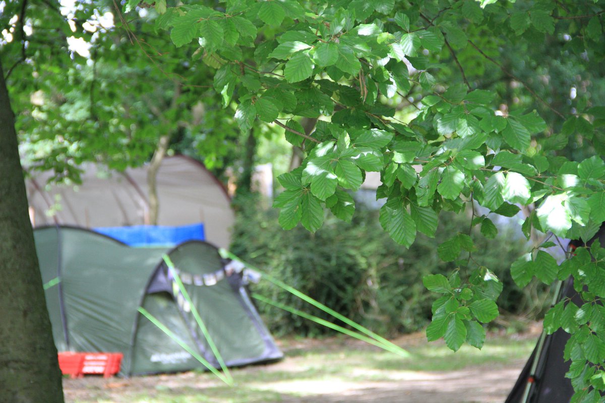 Love the festival? Love the site! Please leave your campsite as you found it 😊 ♻️ ✌️ #greenerfestival #CFF16